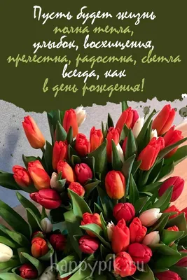 Красивые открытки с днем рождения с ТЮЛЬПАНАМИ 🌷💐 (105 шт.)