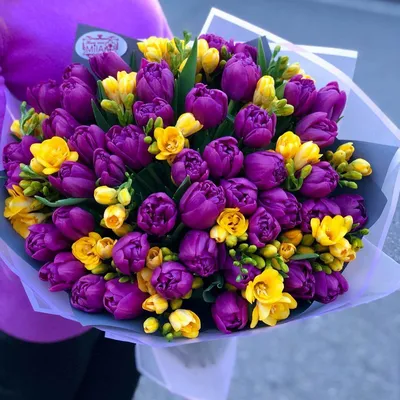 Нежные тюльпаны и поздравление Елене на день рождения
