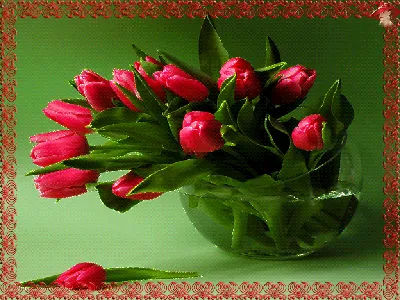 Открытки с днем рождения с тюльпанами женщине - фото и картинки  abrakadabra.fun