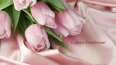 Изумительная открытка с тюльпанами куме на день рождения