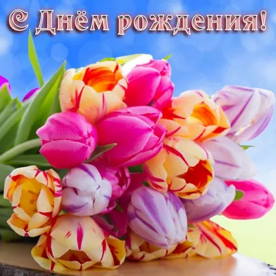 Картинка букет тюльпанов на День рождения - поздравляйте бесплатно на  otkritochka.net