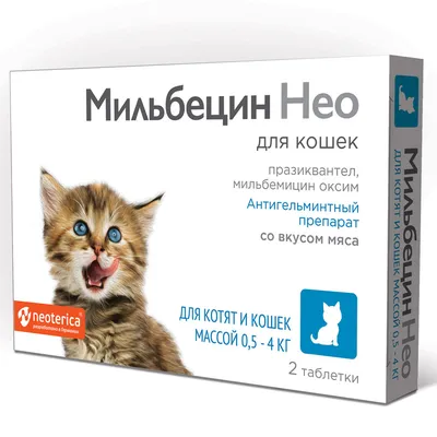 Купить Сухой корм Purina ONE® для котят с курицей и цельными злаками,  пакет, 750 г -официальный интернет-магазин Purina