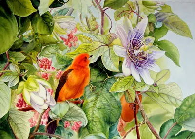 Интерьерная картина Птицы - BY-HOME.RU