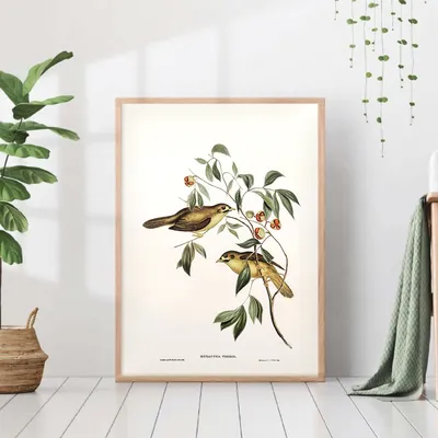 Птица рисунок на спиле дерева , мини картина круглая с птичкой купить в  интернет-магазине Ярмарка Мастеров по цене 1300 ₽ – T4L9URU | Картины,  Санкт-Петербург - доставка по России