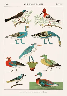 Виды птиц дикой природы мало пестрой мухоловки Стоковое Изображение -  изображение насчитывающей среда, запачканный: 194104859