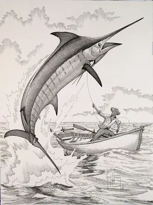 Хэмингуэй. Старик и море | Fish drawings, Guy harvey art, Fish art