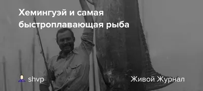 Рыба по рецепту Хэма | Пикабу