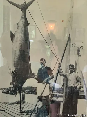 Большая рыба Эрнеста Хемингуэя (Истории / Литературная страничка) -  Barque.ru