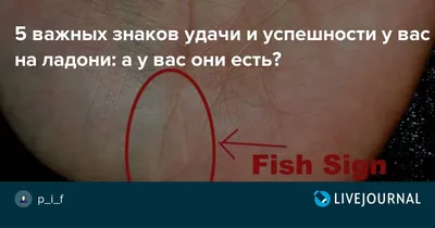 Толкование редких знаков на руке в хиромантии | Лисичка | Дзен