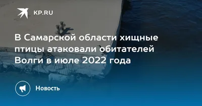 Мочить\" больших подорликов в Самарской области станет проблематичнее.