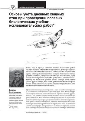 В Самарской области спасают орлана, который больше не сможет летать |  TLT.ru - Новости Тольятти