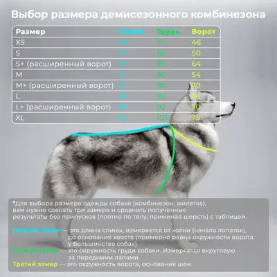 Изображения холки у собаки: скачать бесплатно в высоком качестве