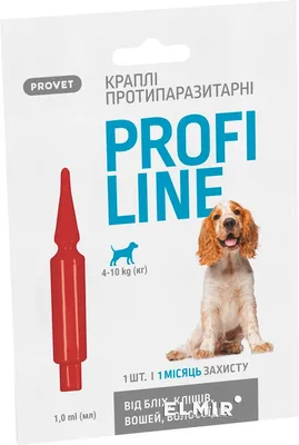 Качественные изображения холки у собаки: скачать бесплатно для использования в своих проектах