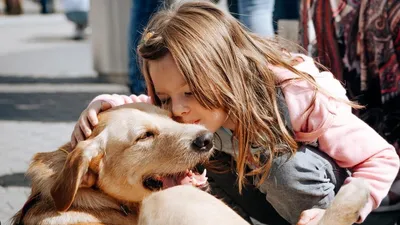 Красивые картинки с кинологом и собакой: png формат для прекрасного просмотра
