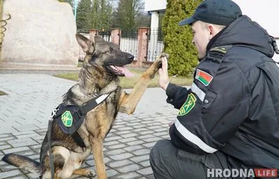 Кинолог с собакой: коллекция красивых фото в разных размерах в высоком качестве