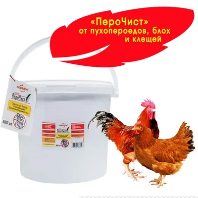 Эффективное уничтожение куриного клеща в Нижневартовске | Защитите своих  птиц от вредителей