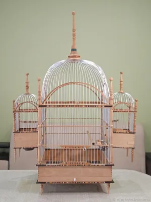 Клетка для птиц для попугаев 42х30хh65 с наполнением разбор. PetTails  33381416 купить в интернет-магазине Wildberries