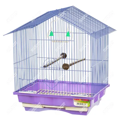 Клетка для птиц 301 (35 * 28 * 43 см см). АЛИСА. купить в Новосибирске с  доставкой в интернет-магазине ЗооСАТ