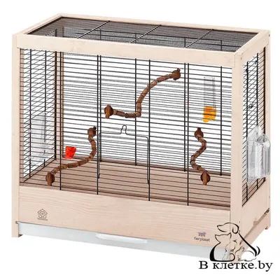 Купить клетка для птиц PetTails 41x30x76 см, бежевый, хром, цены на  Мегамаркет | Артикул: 600005311528