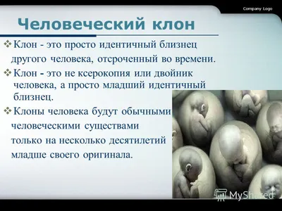 Парадокс клонирования: с чем столкнется человечество в случае успешного  клонирования людей - Рамблер/новости