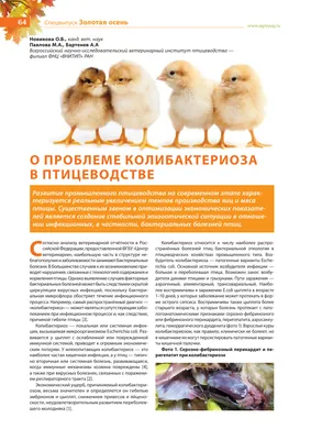 О проблеме колибактериоза в птицеводстве – тема научной статьи по  ветеринарным наукам читайте бесплатно текст научно-исследовательской работы  в электронной библиотеке КиберЛенинка