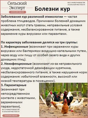 Нобилис® E.Coli inac (Nobilis® E.Coli inac) - MSD Animal Health Russia