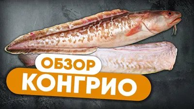 Конгрио тушка зам. с бесплатной доставкой на дом из «ВкусВилл» | Москва и  вся Россия