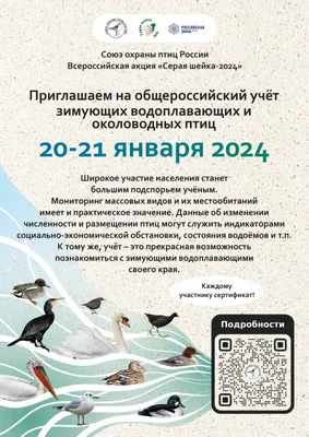 Северная Корея 5 вон 2004 Обыкновенный зимородок птица Фауна Азия СЕРЕБРО —  покупайте на Auction.ru по выгодной цене. Лот из Москва. Продавец  СЕРГЕЙ1335. Лот 230738559023683