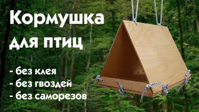 Кормушка для птиц: продажа, цена в Минске. садовые кормушки, скворечники от  \"Мир беседок\" - 8 0291996622