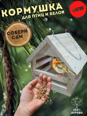 Сборная модель Чудо-Дерево Кормушка для птиц купить по цене 680 ₽ в  интернет-магазине Детский мир
