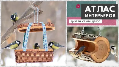 How to make a bird feeder. DIY ideas. - YouTube