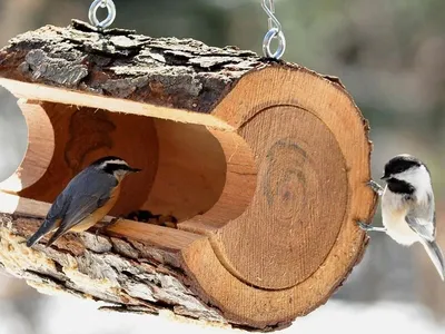 Деревянные кормушки для птиц своими руками - 63 фото