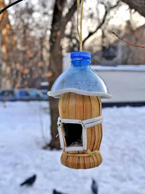 Как сделать кормушки для птиц. Подсказки от огородника