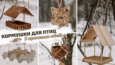 Купить скворечник или кормушку для птиц в Минске по низкой цене