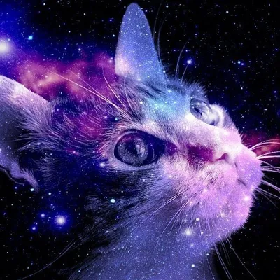 Космос, кот держат в лапках планету…» — создано в Шедевруме