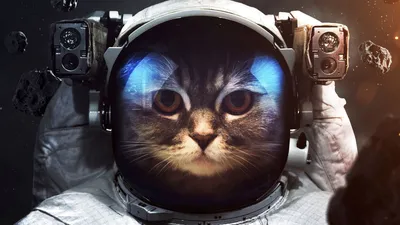 Рисунок кот в космосе - 85 фото