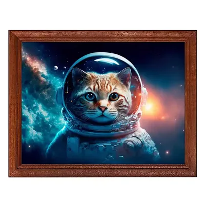 Кот и квадратное примечание, открытый космос Стоковое Фото - изображение  насчитывающей зеленый, персона: 91537476