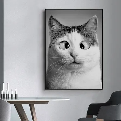 черно-белая кошка стоковое изображение. изображение насчитывающей кот -  261306061