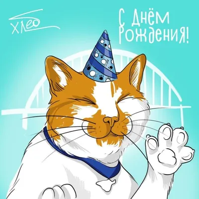 Самый старый кот в мире готовится отметить 31-й день рождения — 07.10.2016  — В мире на РЕН ТВ