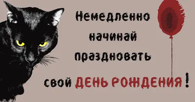 Приглашаем Вас на День Рождения арт-паба “Чеширский Кот” | Арт-паб