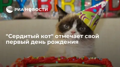 День рождения кота Леопольда. ч.1. Слушать первую часть аудиосказки про  доброго кота и двух вредных мышей