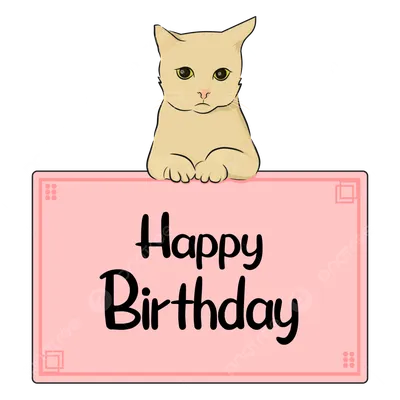 Кот в подарок: открытки с днем рождения - инстапик | Открытки, С днем  рождения, Рождение