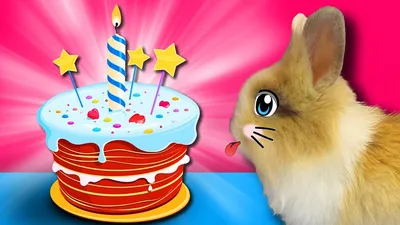 🐾Кот и День Рождения 🎂 | Я — Кот! | Дзен