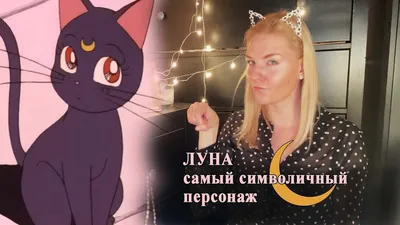 луна :: сон :: кот / смешные картинки и другие приколы: комиксы, гиф  анимация, видео, лучший интеллектуальный юмор.