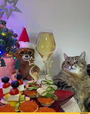 Christmas Cat 😸 🌲 Коты и новый год- это прекрасные вещи, а новогодний кот  уж точно бес… | Рождественские иллюстрации, Акварельные открытки,  Рождественские картины