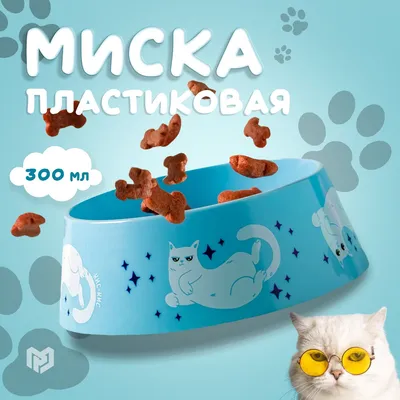 Кошка, Отдыхает Кот На Диване В Размытия Фона, Милый Забавный Кот Крупным  Планом, Домашняя Кошка, Расслабляющий Кошка, Кошка Отдыхает, Кошка Играет У  Себя Дома, Элегантная Кошка Фотография, картинки, изображения и  сток-фотография без