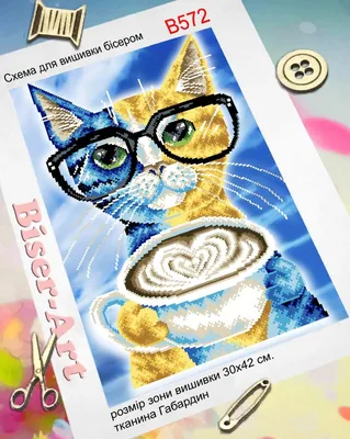 Кот с кофе картинки фотографии