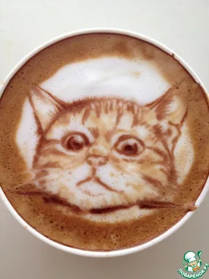 Кот, который не в восторге от кофе | Пикабу