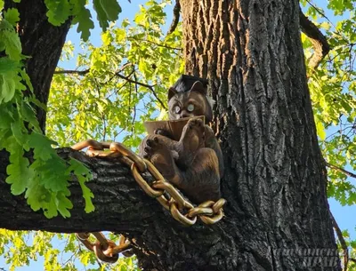 Кот учёный стимпанк цифровое фото…» — создано в Шедевруме