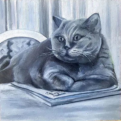 Кот ученый :3 | Пикабу